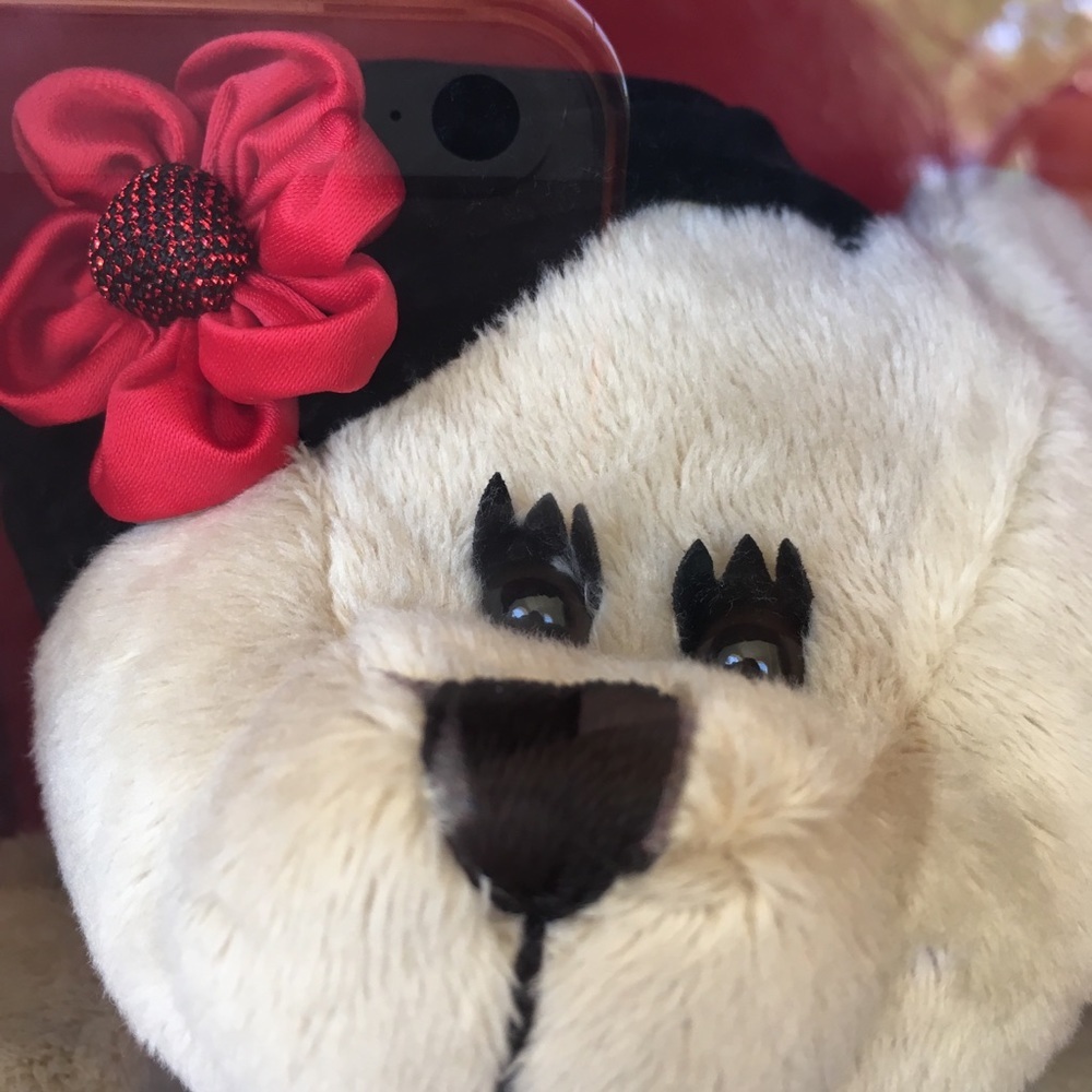 Limited Starbucks X Alice +Olivia barista‎ bear - Picture 3 of 8